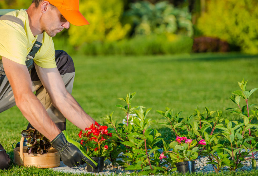 Le temps idéal pour réaliser des travaux de jardinage | All For Home