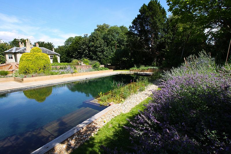 Construction de piscine naturelle : votre chantier en 6 étapes